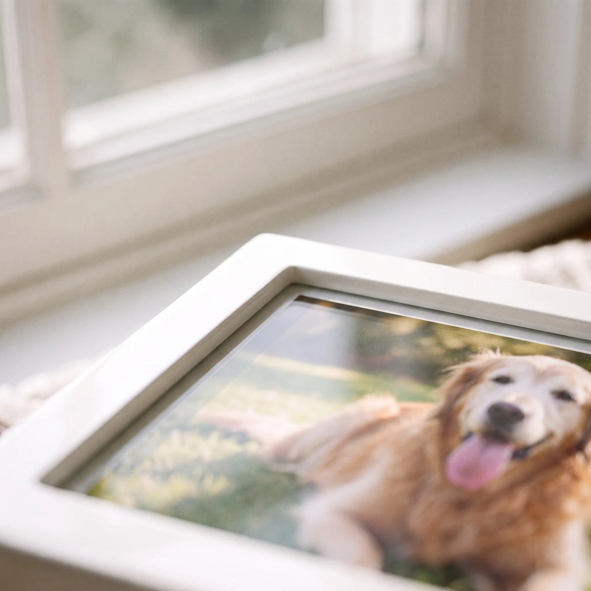 Precious Ivory Pet Photo Urn - close-up detail