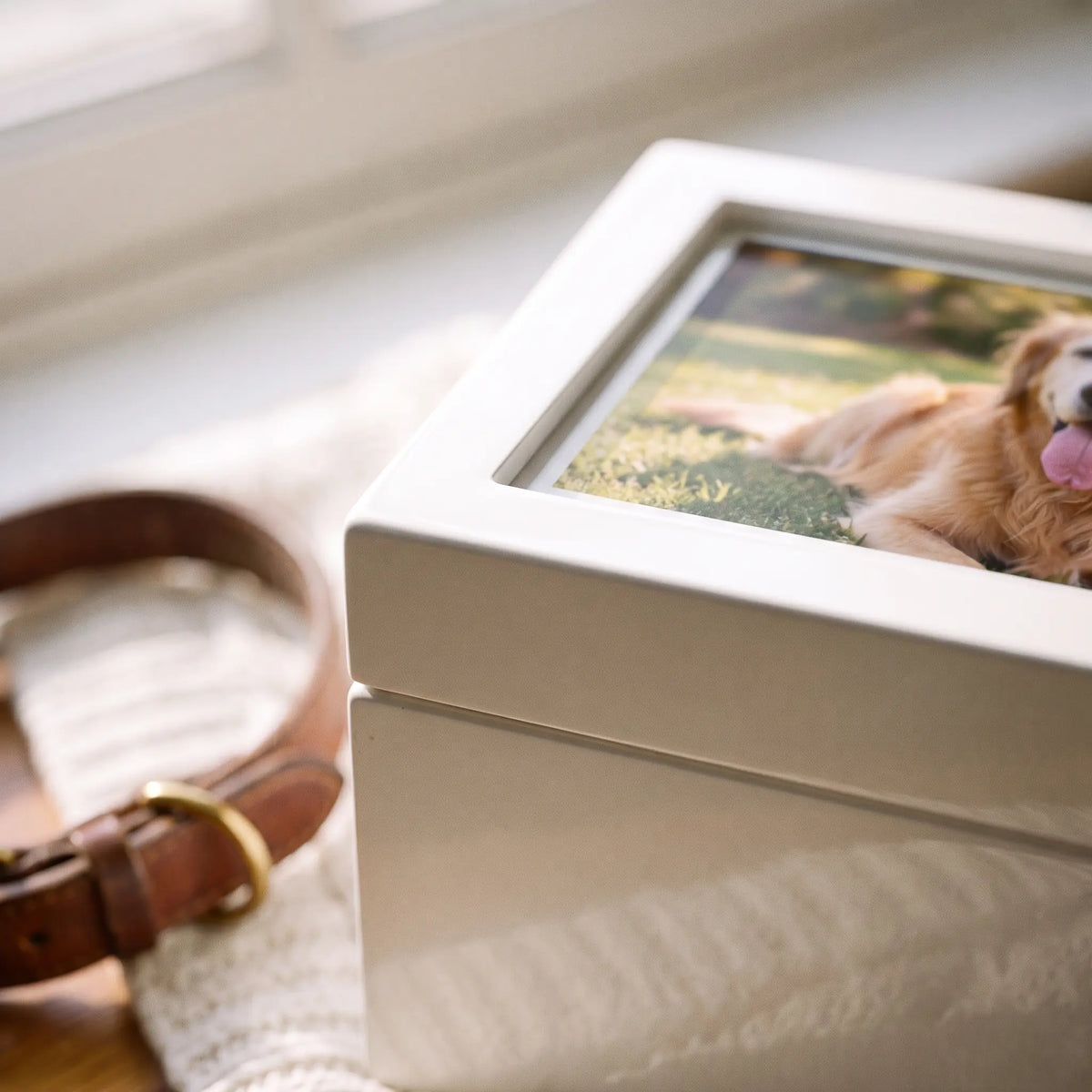 Precious Ivory Pet Photo Urn - second close-up detail